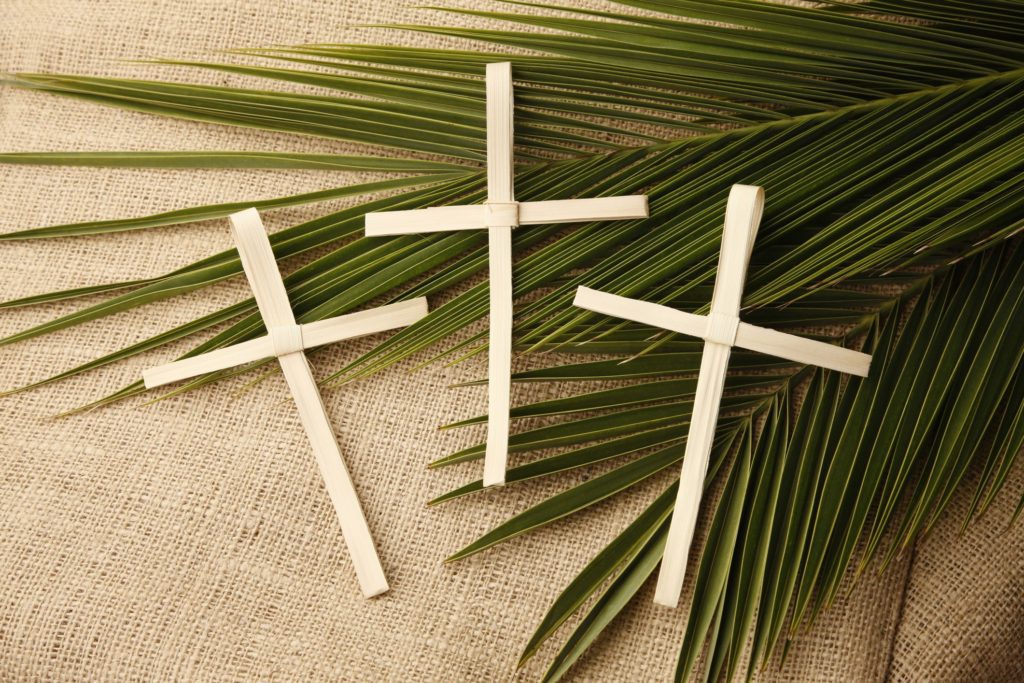 Palm Leaves Cross